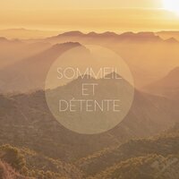 Darkseid - Zen Musique Détente & Musique Calme et Relaxation & Relaxation Sommeil et Détente