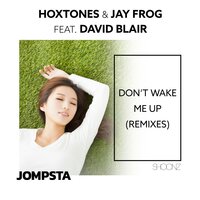 Don't Wake Me Up - Jay Frog & Hoxtones & David Blair