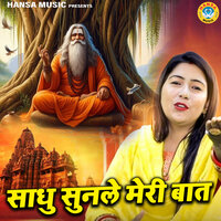 Sadhu Sunle Meri Baat - Preeti Choudhary