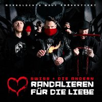 Kuhle Typen - Swiss & Die Andern & Die Atzen