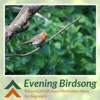 Meditations on Tantra (For Relaxation) - Dreamless Nights