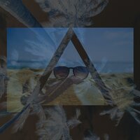 Sorry Honey - Digital Crates