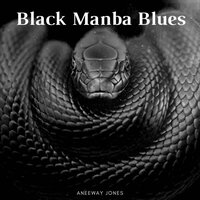 The surface reprise - Aneeway Jones