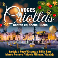 Jingle Bells - Pepe Vásquez