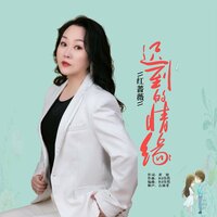 迟到的情缘 - 红蔷薇 & DJ伟然