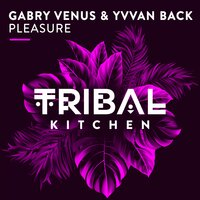 Pleasure - Gabry Venus & Yvvan Back