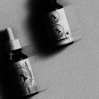 Untitled Rhythm - Pierre Berge-Cia & Conrad Van Orton