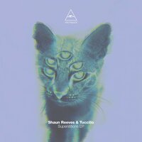 Shade - Shaun Reeves & Tuccillo