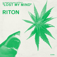 Bang Your Head - Riton
