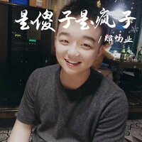 是傻子是疯子 - 郑畅业