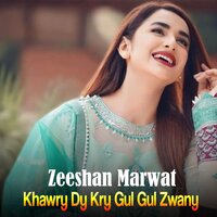 Khawry Dy Kry Gul Gul Zwany - Zeeshan Marwat