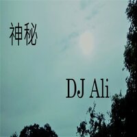 介绍 - DJ Ali