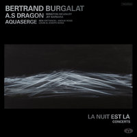 Bardot's Dance (avec A.S Dragon & Winston McAnuff en concert aux Trois Baudets) - Bertrand Burgalat