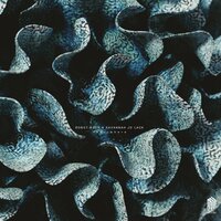 Reflections - Robot Koch & Savannah Jo Lack & Deutsches Kammerorchester Berlin