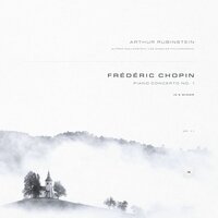 Piano Concerto No. 1 in E Minor, Op. 11: I. Allegro maestoso - Фридерик Шопен & Classical Archive Stereo Arts