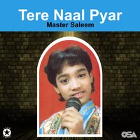 Vehre Vich Tere Babla - Master Saleem