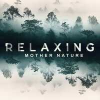 Power of Transformation - Hypnosis Nature Sounds Universe