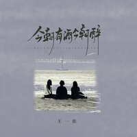 今朝有酒今朝醉 - 王一佳