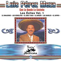 El Barzón - Luis Perez Meza & La Banda La Costeña