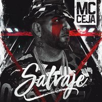 Salvaje - MC Ceja