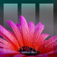 Take Me Up - Croatia Squad & Me & My Toothbrush