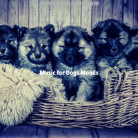 Festive Moods for Doggy Training - Music for Dogs Moods