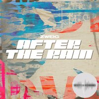 After the Rain - Zweig