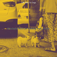 Spirited Ambience for Training Dogs - Calm Music for Dogs