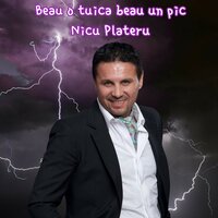 Beau o tuica beau un pic - Nicu Paleru
