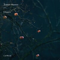 Sunrise Magic - Tomas Sauter