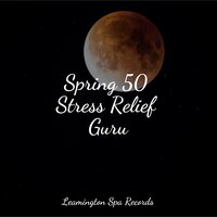 Soft Sounds - Academia de Música con Sonidos de la Naturaleza & Sounds of Nature White Noise for Mindfulness Meditation and Relaxation & Bedtime Baby