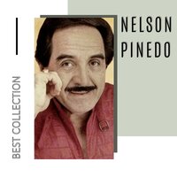 Una Borracha de Amor - Nelson Pinedo