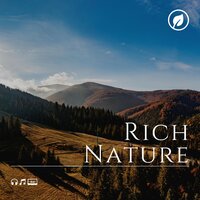 Highveld - Nature Vibrations
