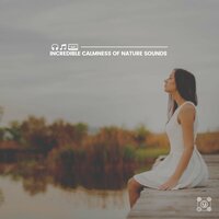 Ferns on Your Feet - Nature Sound Series