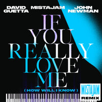 If You Really Love Me (How Will I Know) - David Guetta & MistaJam & John Newman