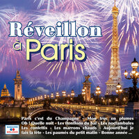 Le soleil de la Saint-Sylvestre - Mathé Altéry