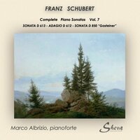 Piano Sonata in D Major, D. 850 "Gasteiner": III. Scherzo. Allegro vivace - Trio - Marco Albrizio & Франц Шуберт