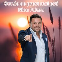 Omule ce prost mai esti - Nicu Paleru