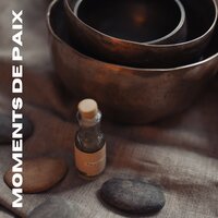 Relaxation de Spa - Musique de Relaxation & Sérénité Musique Spa & Detente Spa Musique Collection