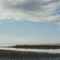 Loss - Warmth & Human Is Alive