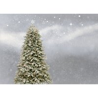 Christmas Is a Claus for Celebration - Christmas Band, Christmas Canon Specialists, Christmas Eve & Christmas Eve & Christmas Band & Christmas Canon Specialists
