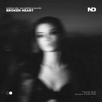 Broken Heart - Giorgio Gee & Van Herpen & NALYRO