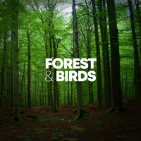 Moods - Sleep Sounds Of Nature & Nature Sounds Nature Music & Nature Sound Collection