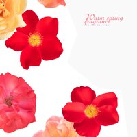 Warm spring fragrance - Feeling Drawings