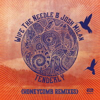 Tenderly - Wipe The Needle & Josh Milan