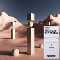 Riders Of The Storm - Fedders & Kezano