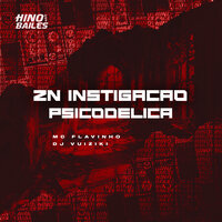 Zn Instigação Psicodélica - Mc Flavinho & DJ Vuiziki