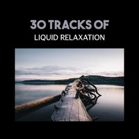 Yoga Soul - Liquid Relaxation Oasis