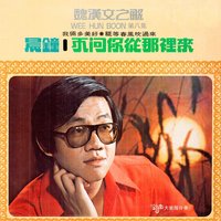 雨中行 - 鈴聲大樂隊 & 魏漢文