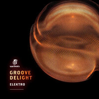 Elektro - Groove Delight & FlexB